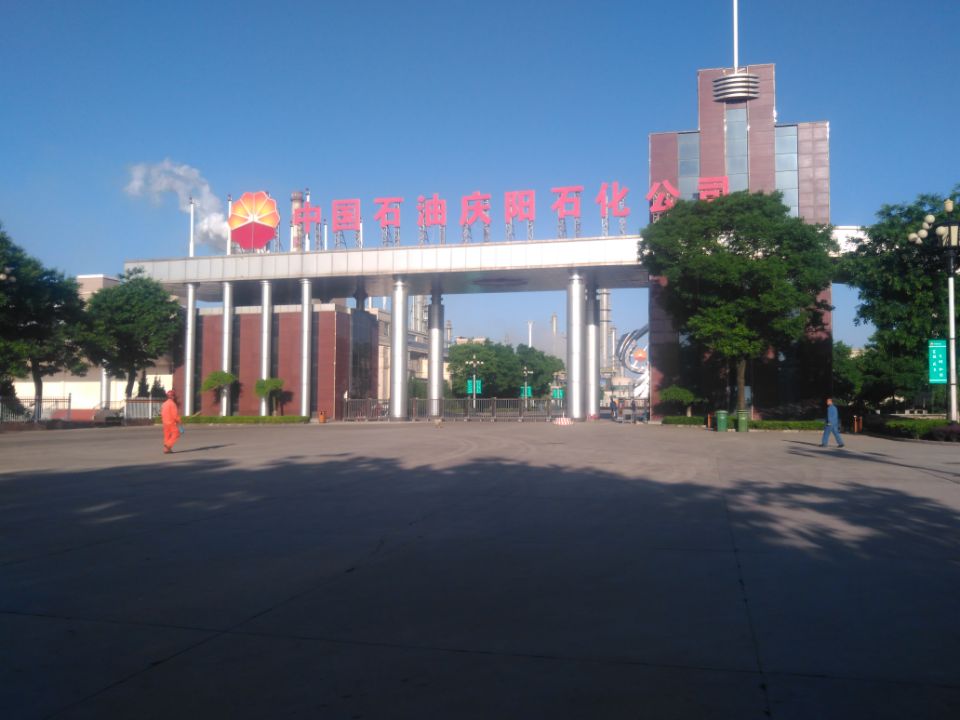 庆阳凸轮转子泵